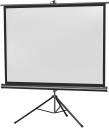 Celexon Leinwand 219x219cm