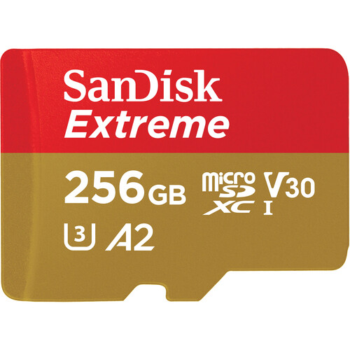 SanDisk MicroSDXC 256GB 170MB/s V30